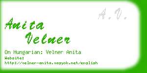 anita velner business card